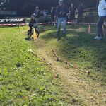 IMG_9714.jpg