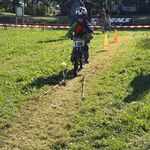 IMG_9683.jpg