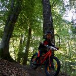 DSC04412.jpg