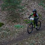 SWE07105.jpg